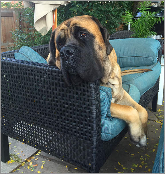 Greg Alverado - Owner - Green By Nature