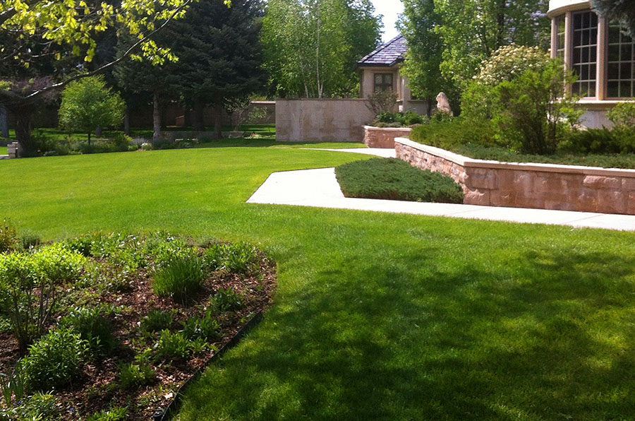 Landscaping Maintenance Programs Available