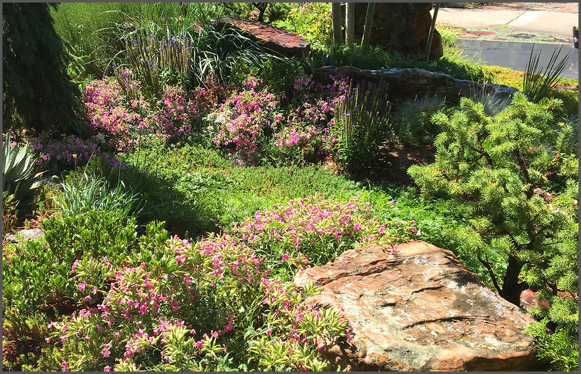 Native & Eco-Friendly Landscaping