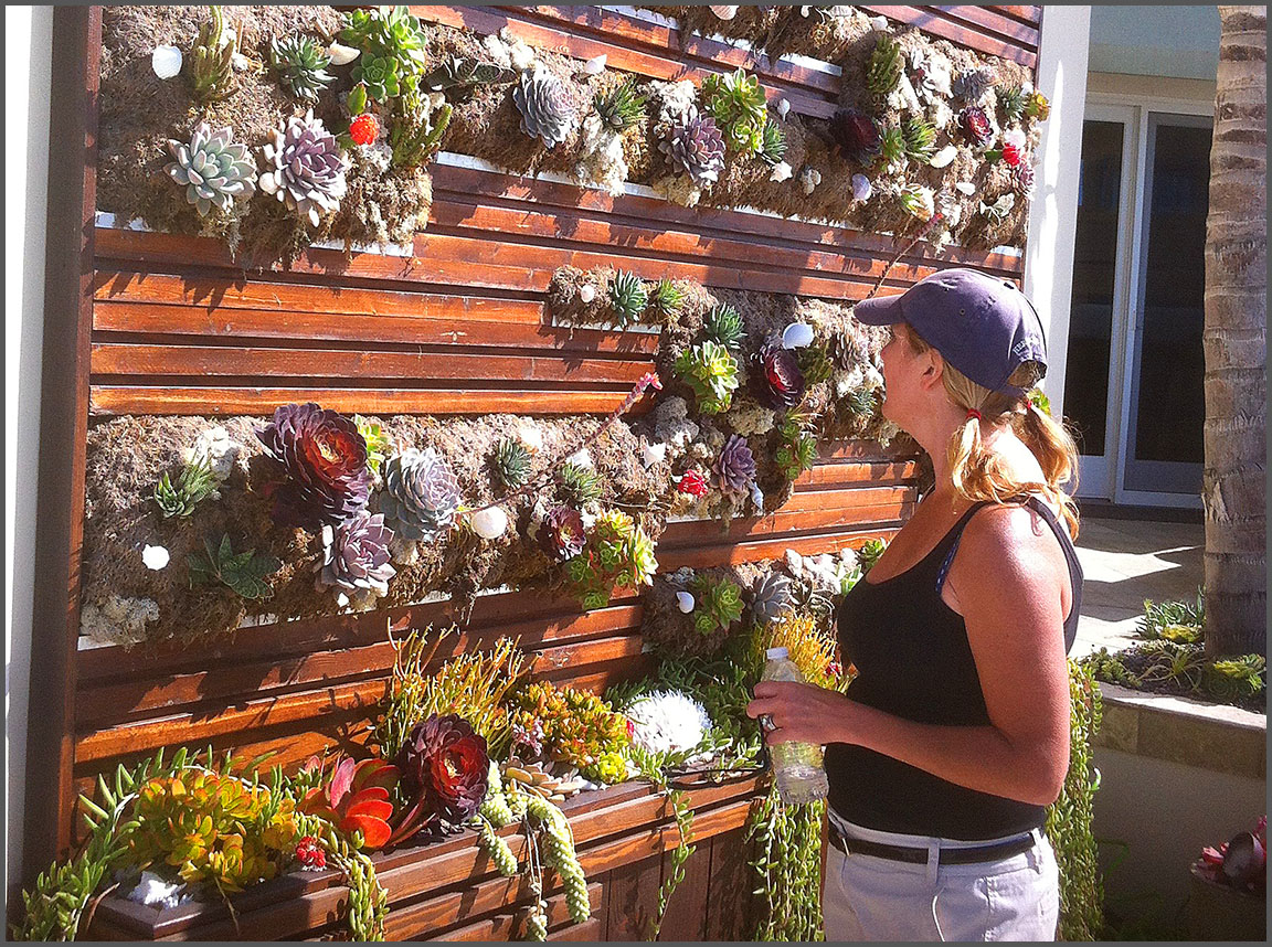 Urban & Innovative Landscaping