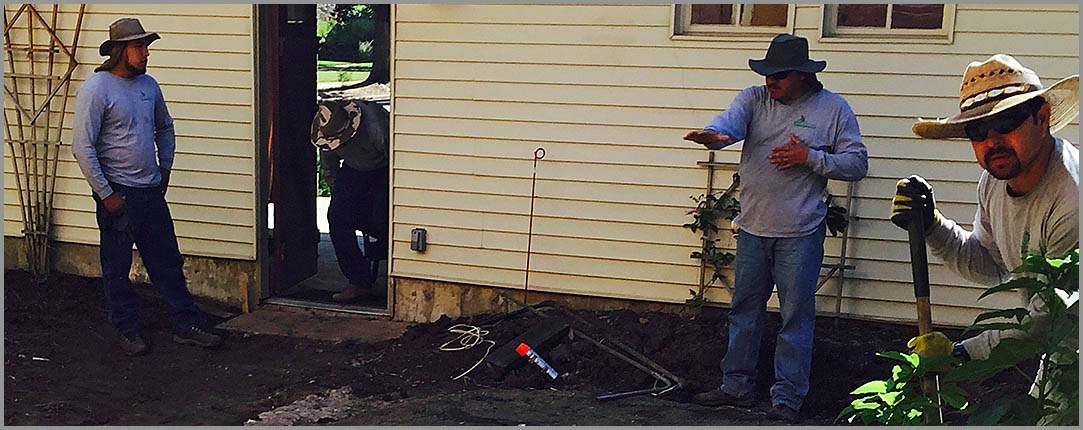 Green by Natrure Crew