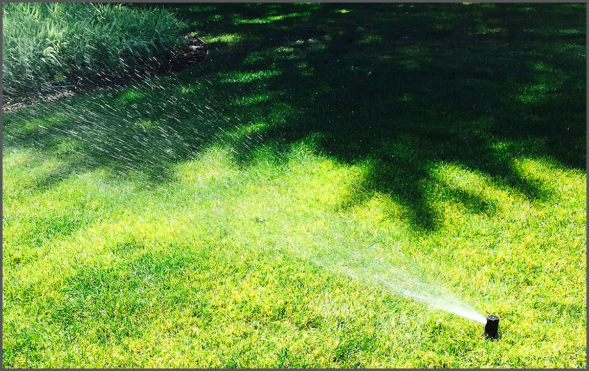 Sprinkler System - Irrigation