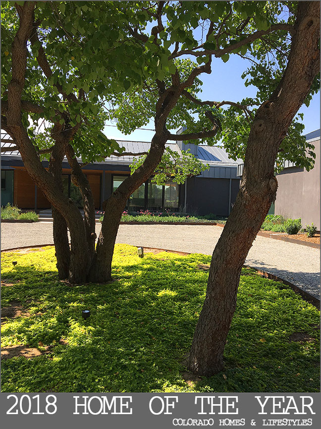 2018 Home of the Year - Colorado Homes & Lifestyles